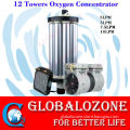 93% purity oxygen generation unit PSA oxygen concentrator parts 10LPM